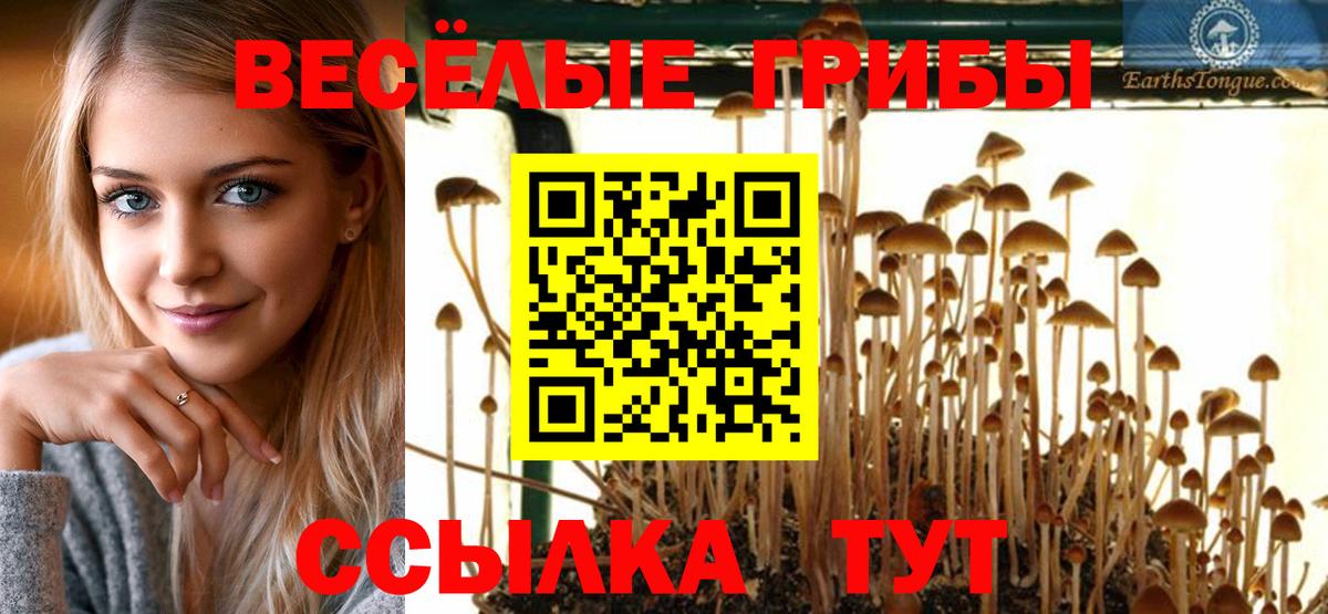 Ликино-Дулёво  Галлюциногенные грибы ЛСД  Вход с VPN  Псилоцибиновые грибы прущие грибы 