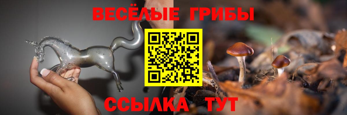 Галлюциногенные грибы прущие грибы Ликино-Дулёво