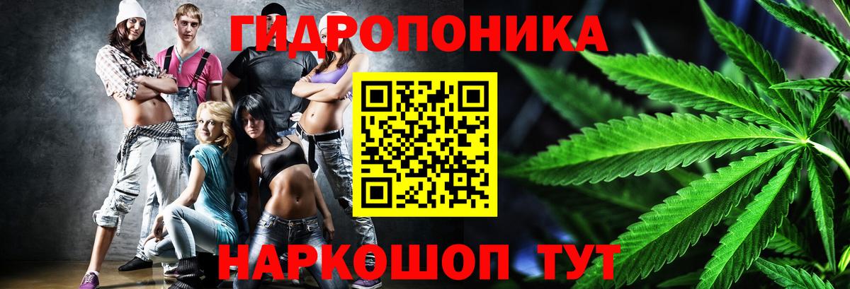 Канабис гибрид Ликино-Дулёво